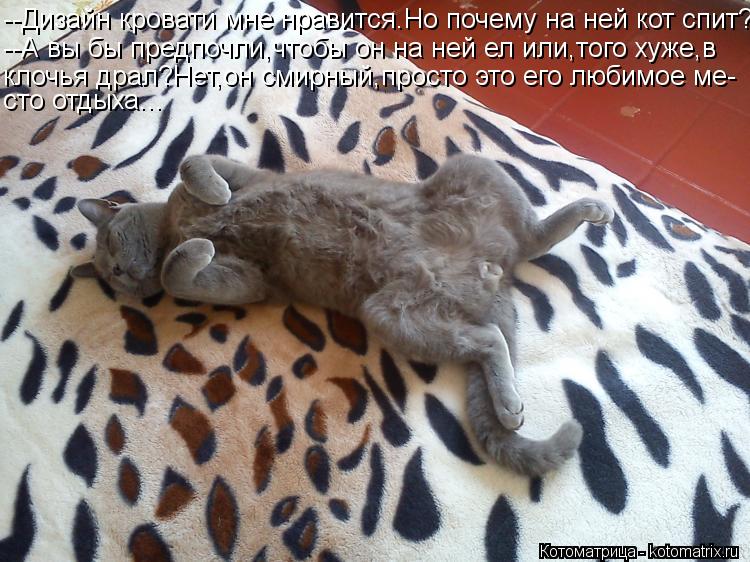 Котоматрица: --Дизайн кровати мне нравится.Но почему на ней кот спит? --А вы бы предпочли,чтобы он на ней ел или,того хуже,в клочья драл?Нет,он смирный,прост