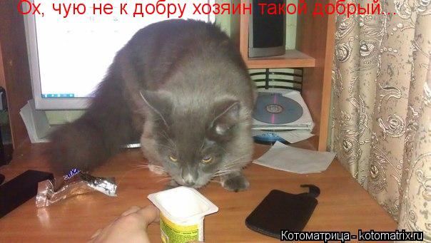 Котоматрица: Ох, чую не к добру хозяин такой добрый...