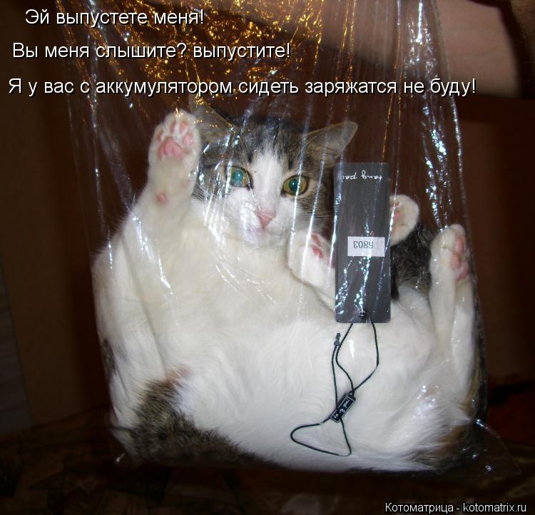Котоматрица: Эй выпустете меня! Вы меня слышите? выпустите! Я у вас с аккумулятором сидеть заряжатся не буду!