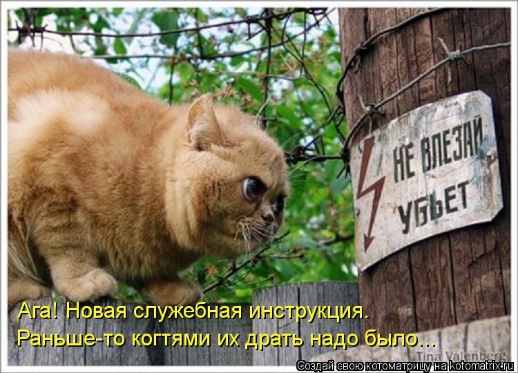 Котоматрица: Ага! Новая служебная инструкция. Раньше-то когтями их драть надо было...