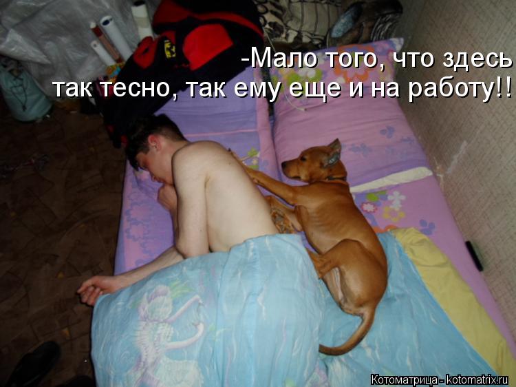 Котоматрица: -Мало того, что здесь  так тесно, так ему еще и на работу!!