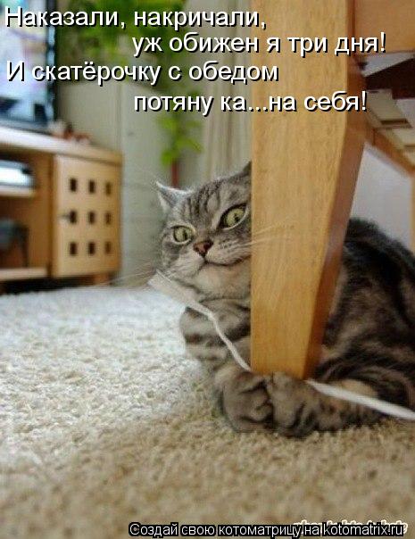Котоматрица: Наказали, накричали,  уж обижен я три дня! И скатёрочку с обедом потяну ка...на себя!