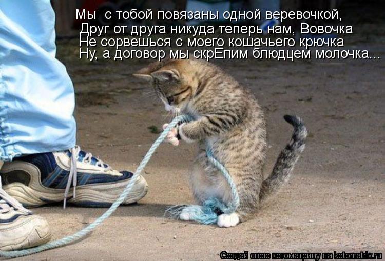 Котоматрица: Мы  с тобой повязаны одной веревочкой, Друг от друга никуда теперь нам, Вовочка Не сорвешься с моего кошачьего крючка Ну, а договор мы скрЕпи