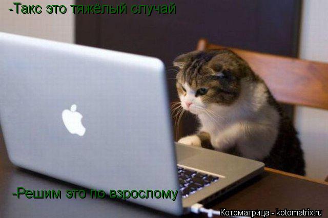 Котоматрица: -Такс это тяжёлый случай -Решим это по взрослому