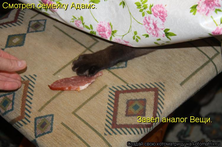 Смотрел семейку Адамс. Завёл аналог Вещи.... Котоматрица: Смотрел семейку Адамс. Завёл аналог Вещи.
