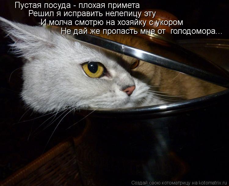 Котоматрица: Пустая посуда - плохая примета Решил я исправить нелепицу эту И молча смотрю на хозяйку с укором  Не дай же пропасть мне от  голодомора...
