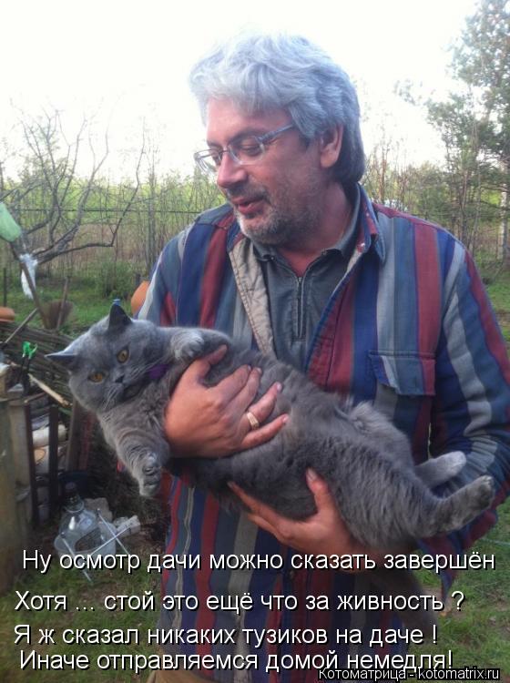 Котоматрица: Ну осмотр дачи можно сказать завершён Хотя ... стой это ещё что за живность ? Я ж сказал никаких тузиков на даче ! Иначе отправляемся домой нем
