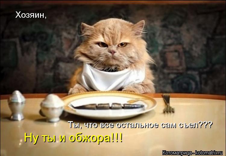 Котоматрица: Хозяин, Ты ч Ты ч Ты, что все остальное сам съел??? Ну ты и обжора!!!