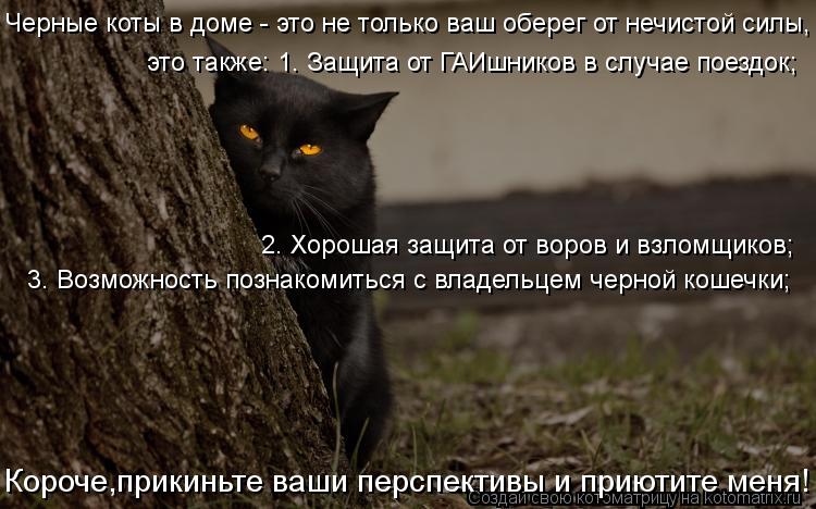 Котоматрица: Черные коты в доме - это не только ваш оберег от нечистой силы,  это также: 1. Защита от ГАИшников в случае поездок; 2. Хорошая защита от воров и 
