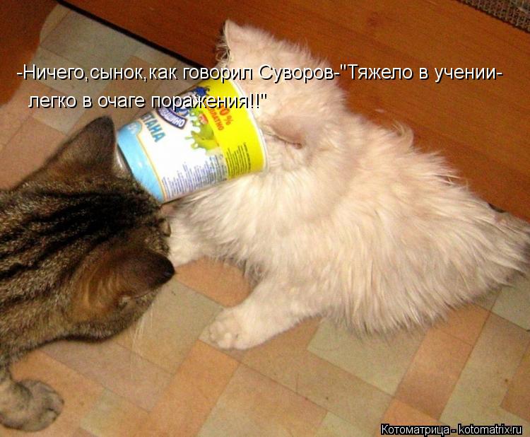 Котоматрица: -Ничего,сынок,как говорил Суворов-"Тяжело в учении- легко в очаге поражения!!"