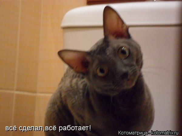 всё сделал,всё работает!... Котоматрица: всё сделал,всё работает!