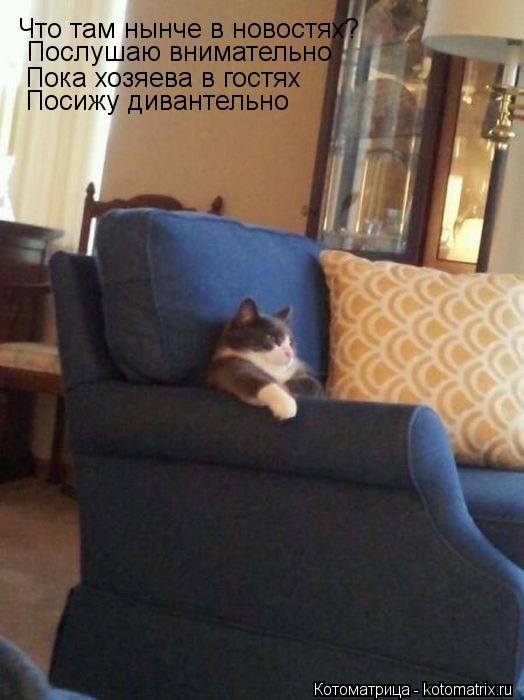 Котоматрица: Что там нынче в новостях? Послушаю внимательно Пока хозяева в гостях Посижу дивантельно