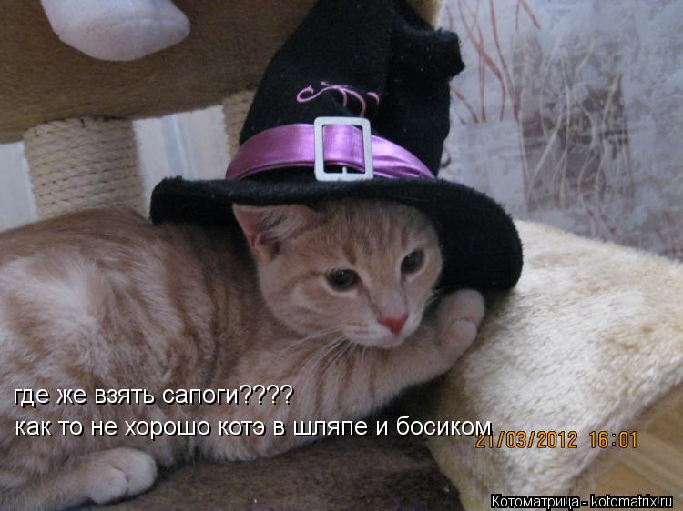 Котоматрица: где же взять сапоги???? как то не хорошо котэ в шляпе и босиком