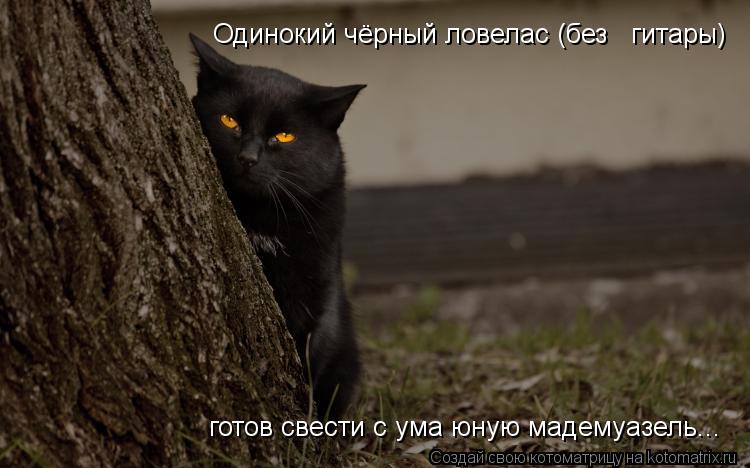Котоматрица: Одинокий чёрный ловелас (без   гитары)  готов свести с ума юную мадемуазель...