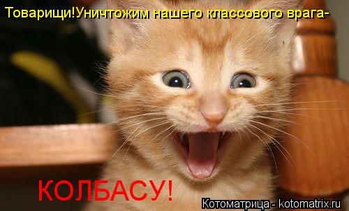 Котоматрица: Товарищи!Уничтожим нашего классового врага- КОЛБАСУ!