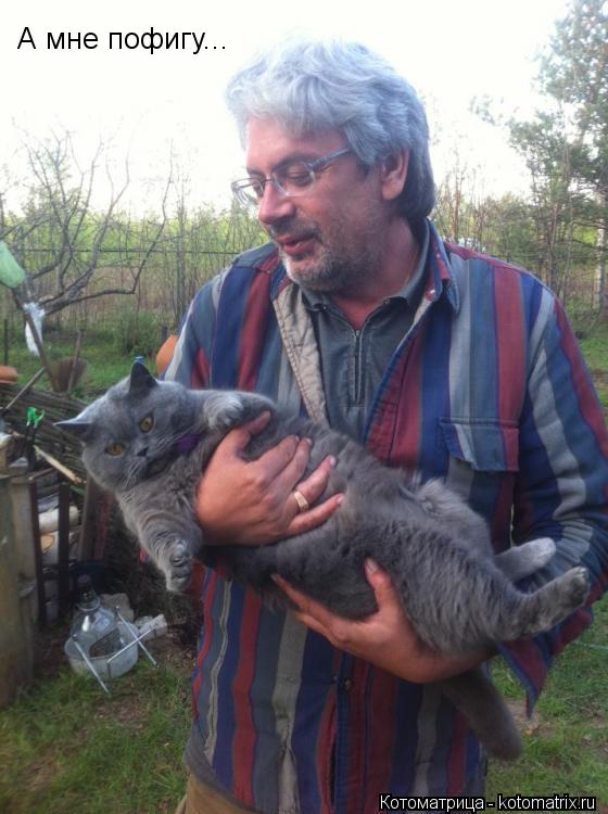Котоматрица: А мне пофигу...