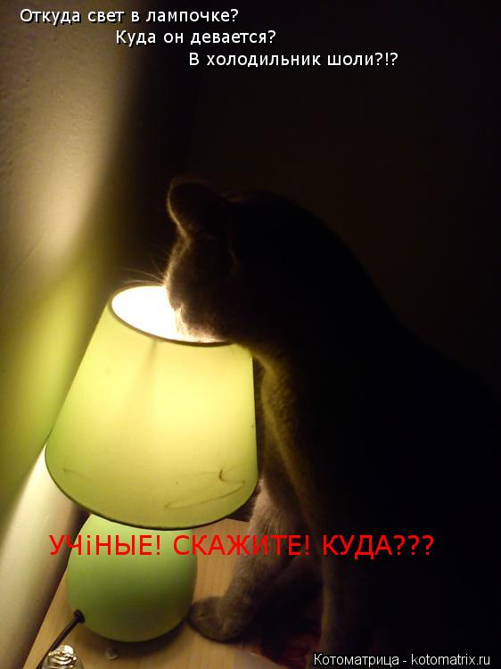 Котоматрица: Откуда свет в лампочке? Куда он девается? В холодильник шоли?!? УЧЁНЫЕ! СКАЖИТЕ! КУДА???