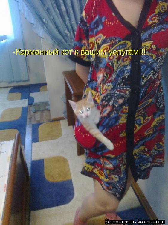 Котоматрица: -Карманный кот к вашим услугам!!!