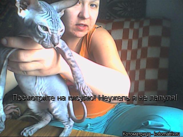 Котоматрица: Посмотрите на кисулю! Неужель я не лапуля! Посмотрите на кисулю! Неужель я не лапуля!