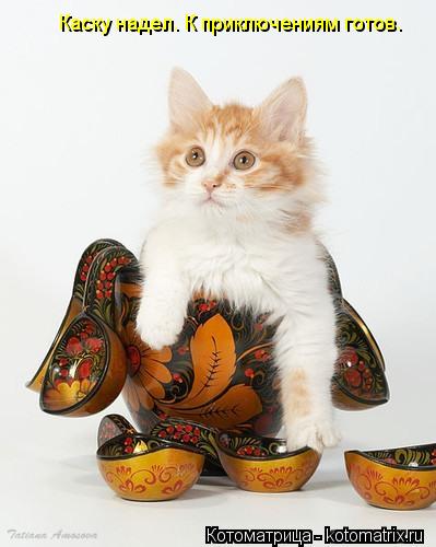 Котоматрица: Каску надел. К приключениям готов.