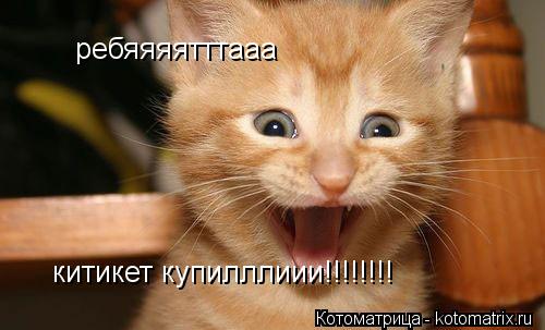 Котоматрица: ребяяяятттааа китикет купилллиии!!!!!!!!