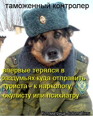 Котоматрица: таможенный контролер впервые терялся в раздумьях куда отправить туриста - к наркологу, окулисту или психиатру