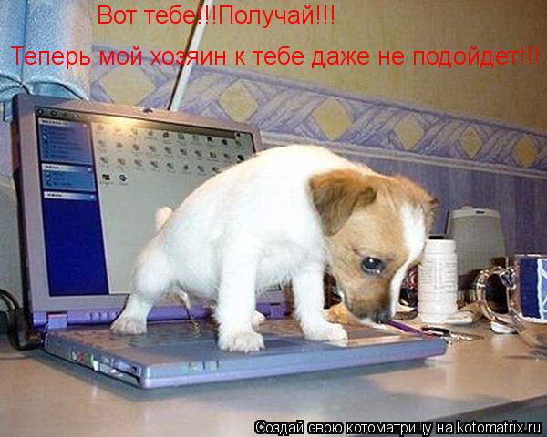 Котоматрица: Вот тебе!!!Получай!!! Теперь мой хозяин к тебе даже не подойдет!!!
