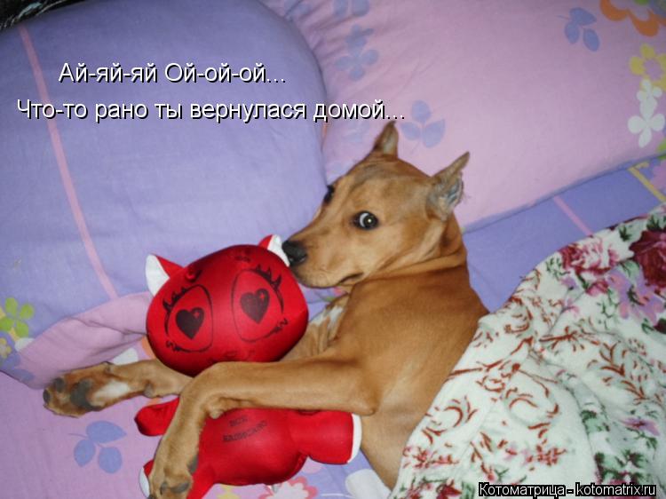 Котоматрица: Ай-яй-яй Ой-ой-ой... Что-то рано ты вернулася домой...