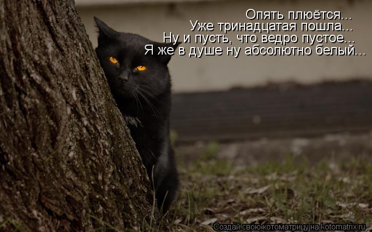 Котоматрица: Опять плюётся... Уже тринадцатая пошла... Ну и пусть, что ведро пустое... Я же в душе ну абсолютно белый...
