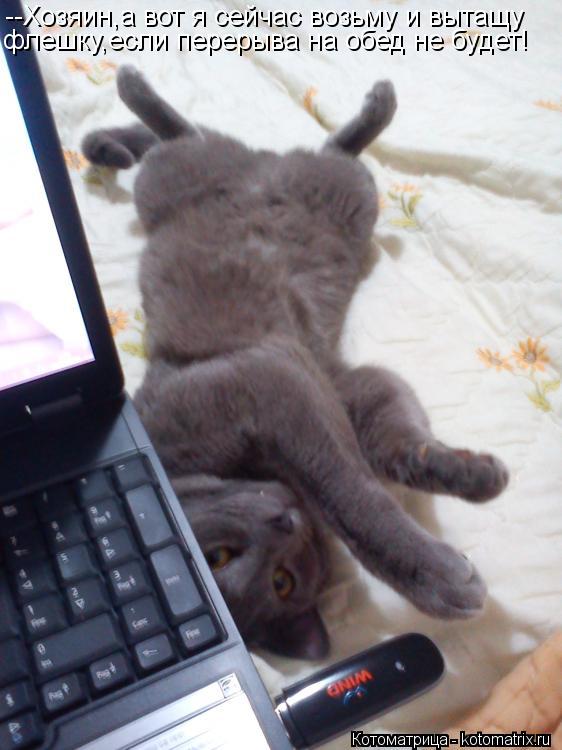 Котоматрица: --Хозяин,а вот я сейчас возьму и вытащу флешку,если перерыва на обед не будет!