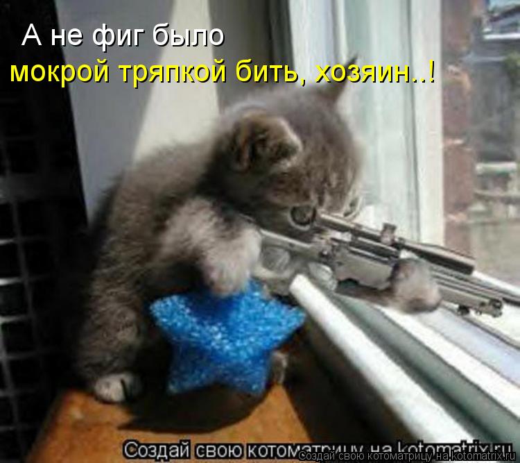 Котоматрица: А не фиг было мокрой тряпкой бить, хозяин..!