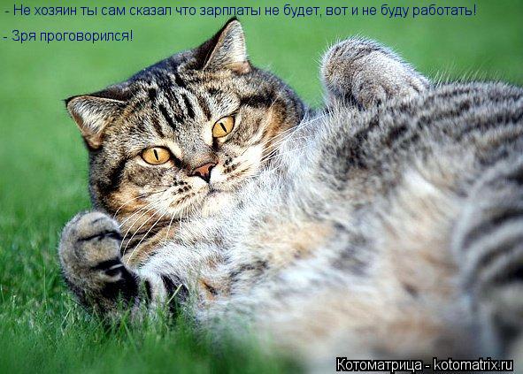 Котоматрица: - Не хозяин ты сам сказал что зарплаты не будет, вот и не буду работать! - Зря проговорился!