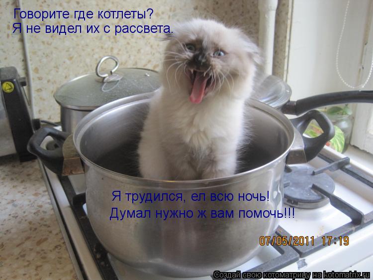 Котоматрица: Говорите где котлеты? Я не видел их с рассвета. Я трудился, ел всю ночь! Думал нужно ж вам помочь!!!