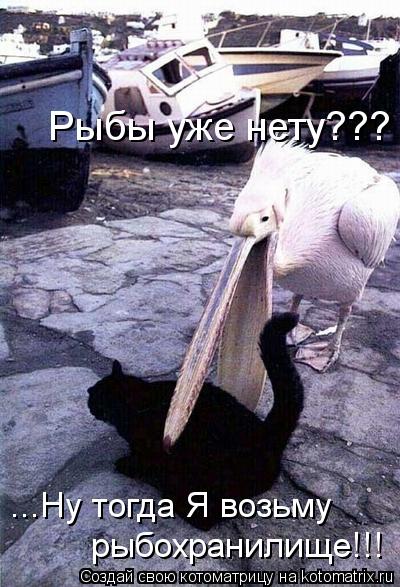 Котоматрица: Рыбы уже нету??? ...Ну тогда Я возьму  рыбохранилище!!!