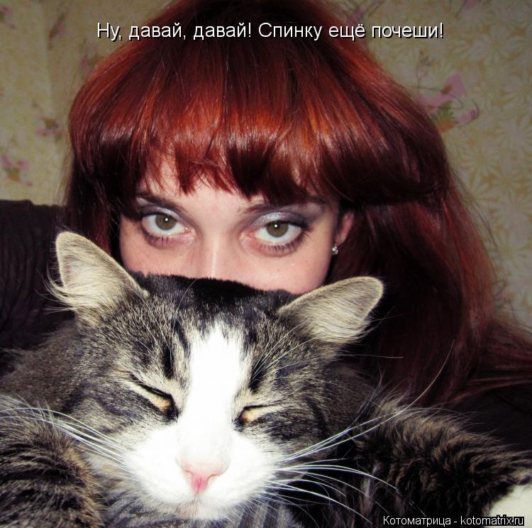 Котоматрица: Ну, давай, давай! Спинку ещё почеши!