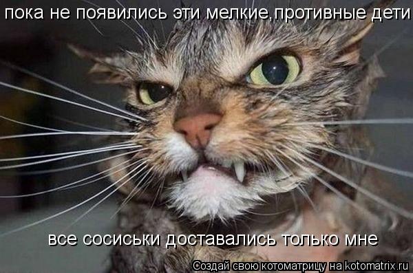 Котоматрица: пока не появились эти мелкие,противные дети все сосиськи доставались только мне