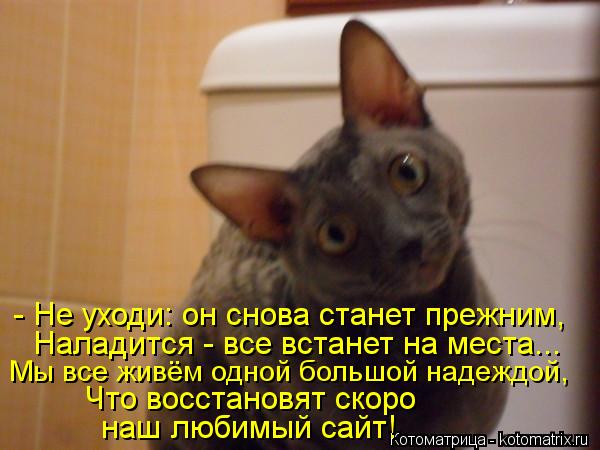 - Не уходи: он снова станет прежним, Наладится - все встанет на места... Мы все живём одной большой н... Котоматрица: - Не уходи: он снова станет прежним, Наладится - все встанет на места... Мы все живём одной большой надеждой, Что восстановят скоро наш любимы