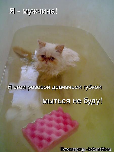 Котоматрица: Я - мужчина! Я этой розовой девчачьей губкой мыться не буду!