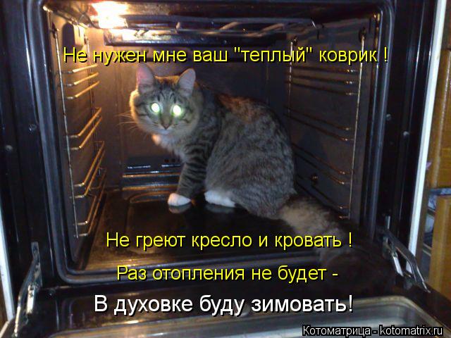 Котоматрица: Раз отопления не будет -  В духовке буду зимовать! Не нужен мне ваш "теплый" коврик ! Не греют кресло и кровать !