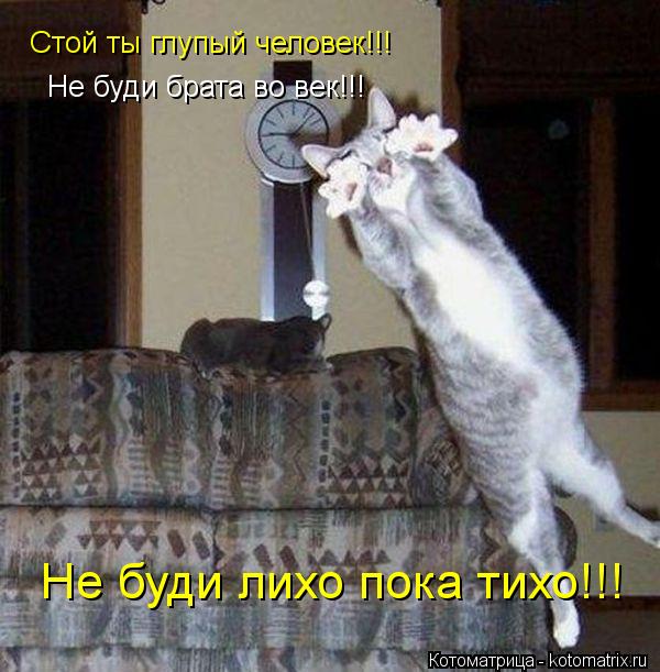 Котоматрица: Стой ты глупый человек!!! Не буди брата во век!!! Не буди лихо пока тихо!!!