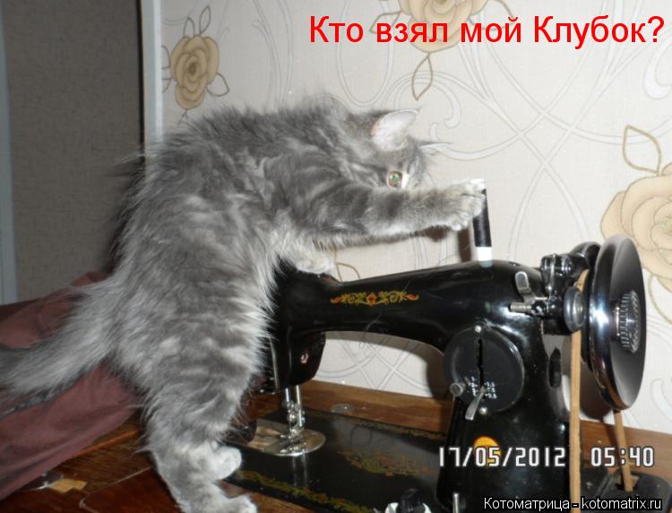 Котоматрица: Кто взял мой Клубок?