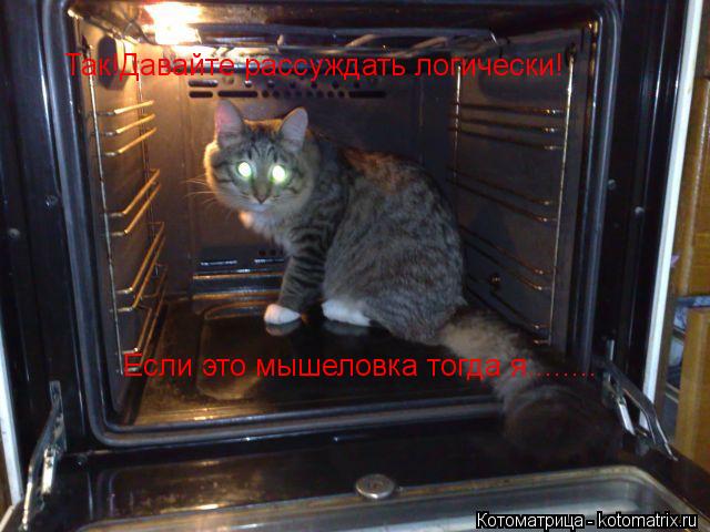 Котоматрица: Так!Давайте рассуждать логически! Если это мышеловка тогда я........