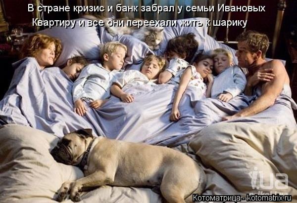 Котоматрица: В стране кризис и банк забрал у семьи Ивановых  Квартиру и все они переехали жить к шарику