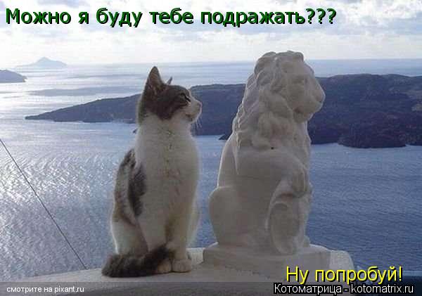 Котоматрица: Можно я буду тебе подражать??? Ну попробуй!