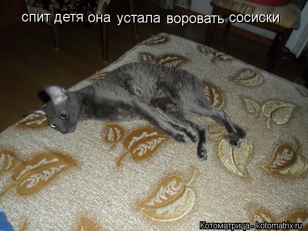 Котоматрица: спит детя она устала воровать сосиски