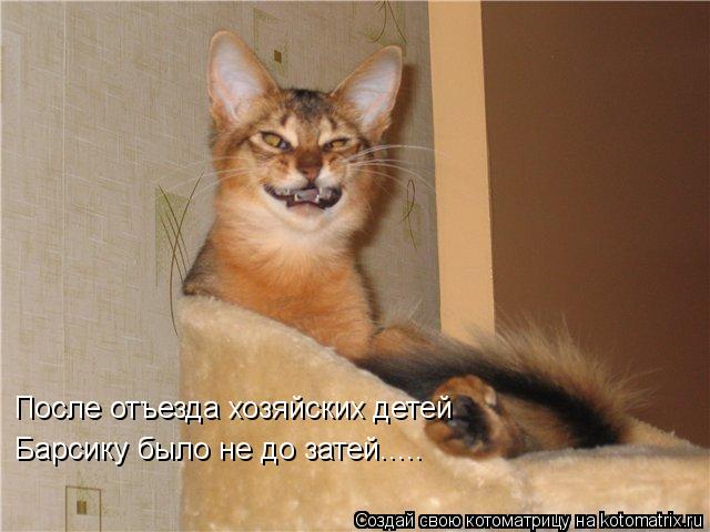Котоматрица: После отъезда хозяйских детей Барсику было не до затей.....