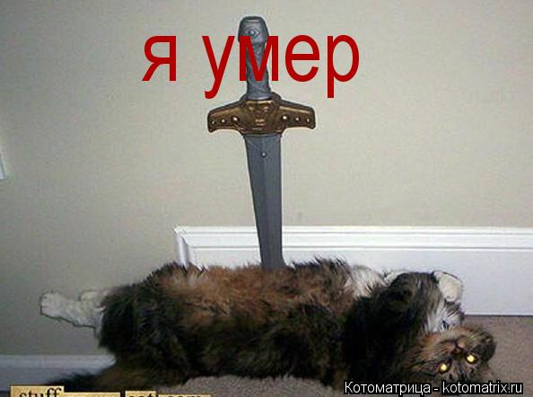 Котоматрица: я умер я умер