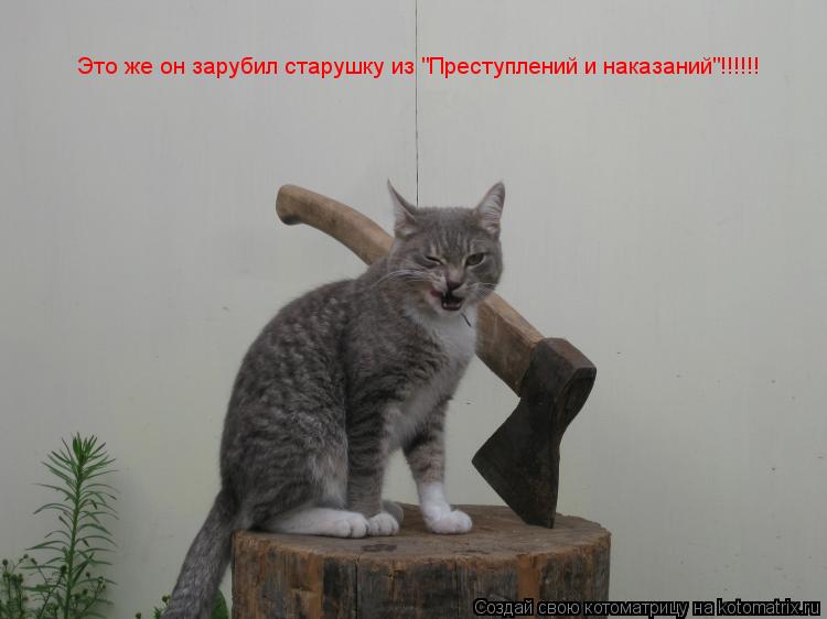 Плачет киска в коридоре У нее большое горе Злые люди бедной киске Не дают украсть сосиски.... Котоматрица: Плачет киска в коридоре У нее большое горе Злые люди бедной киске Не дают украсть сосиски.