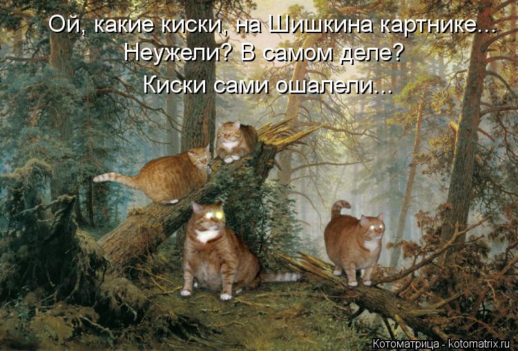 Котоматрица: Ой, какие киски, на Шишкина картнике... Неужели? В самом деле?  Киски сами ошалели...