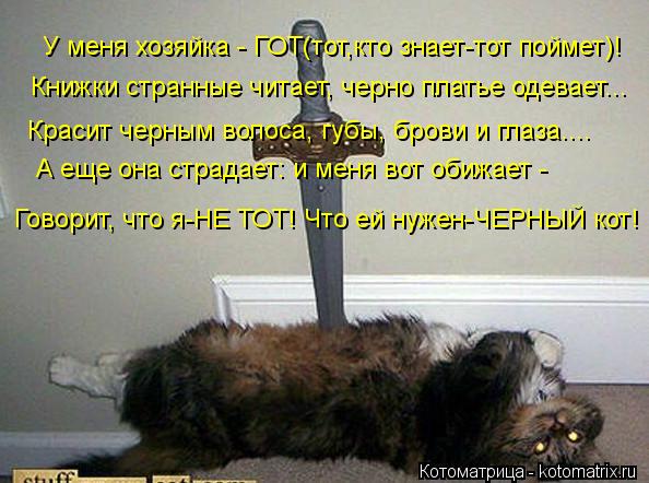 Котоматрица: У меня хозяйка - ГОТ(тот,кто знает-тот поймет)! Книжки странные читает, черно платье одевает... Красит черным волоса, губы, брови и глаза.... А ещ